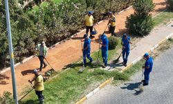 Başkan Çerçioğlu'ndan Nazilli’ye yeşil dokunuş