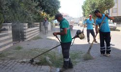 Efeler’in mahallelerinde temizlik seferberliği devam ediyor
