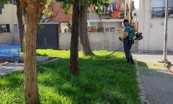 Efeler’in ekiplerinden ortak temizlik çalışması