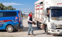 Karpuzlu’da hayvan sevkiyatına denetim