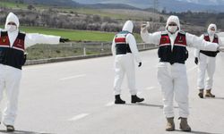 Bozdoğan'da şap hastalığı tespit edildi