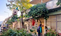 Efeler’de park ve bahçelerde bakım çalışmaları sürüyor