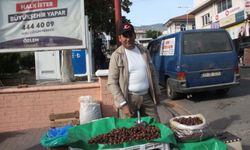 Hasadı zahmetli, satışı ise sabır işi