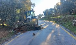 Aydın'ın ulaşım altyapısı Başkan Çerçioğlu'nun öncülüğünde güçleniyor