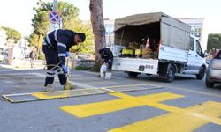 Büyükşehir ekiplerinden Koçarlı ve Germencik'te hummalı çalışma