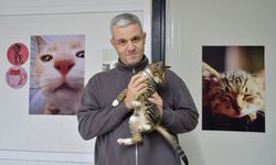 Kuşadası Belediyesi Veteriner İşleri Müdürü kısırlaştırmanın önemine dikkat çekti