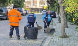 Efeler’de bahar temizliği seferberliğe dönüştü