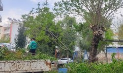 Efeler Belediyesi çalışıyor: Kent daha temiz ve düzenli hale geliyor