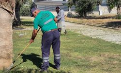 Efeler’in yeşil alanlarında yaz temizliği