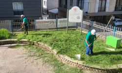 Efeler’in parklarında düzenli bakım sürüyor