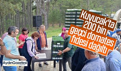 Kuyucak'ta 200 bin geçci domates fidesi dağıltı