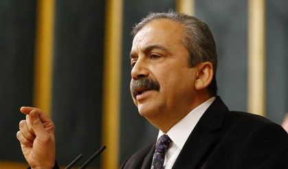 DEM Parti'den İmralı Heyeti Açıklaması