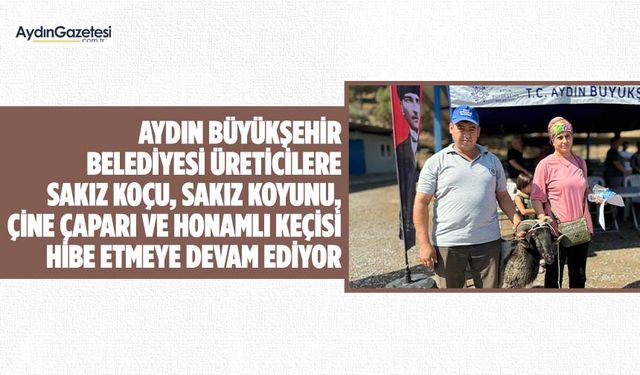 Aydın Büyükşehir Belediyesi üreticilere Sakız Koçu, Sakız Koyunu, Çine Çaparı ve Honamlı Keçisi hibe etmeye devam ediyor