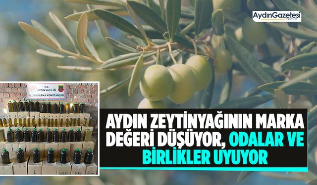 Aydın zeytinyağının marka değeri düşüyor, odalar ve birlikler uyuyor