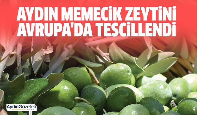 Aydın Memecik Zeytini Avrupa'da tescillendi