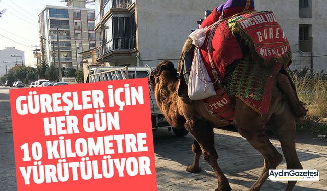 Güreşler için her gün 10 kilometre yürütülüyor