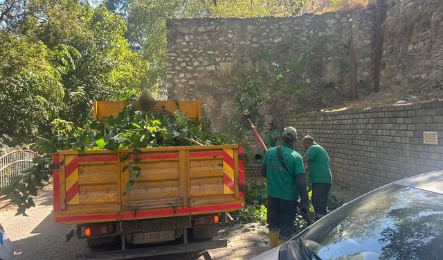 Efeler Belediyesi’nden tarihi surlarda temizlik çalışması