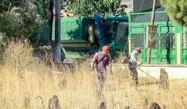 Efeler Belediyesi’nden mezarlıklara bakım