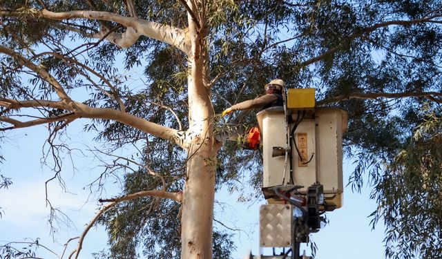 Efeler’in ekipleri Tepecik Mesire Alanı’nda