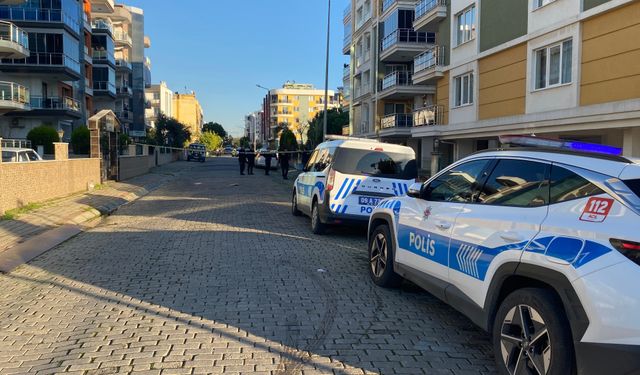 Aydın'da silahlı yaralama şüphelisi yakalandı