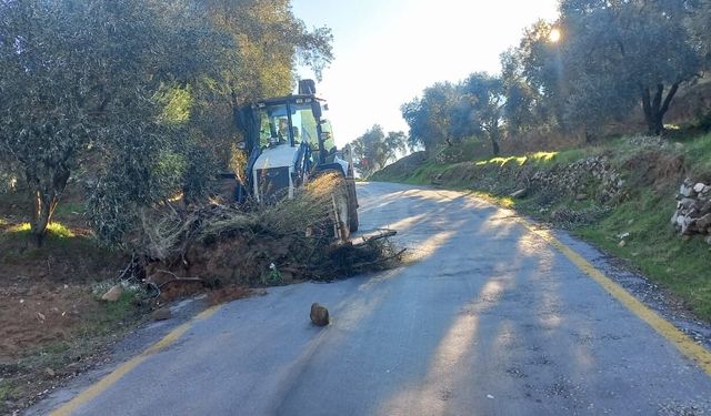 Aydın'ın ulaşım altyapısı Başkan Çerçioğlu'nun öncülüğünde güçleniyor