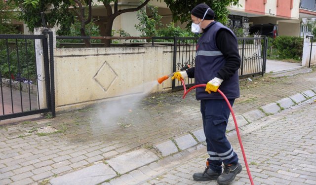 Efeler Belediyesi halk sağlığı ve kent estetiği için çalışmalarını sürdürüyor