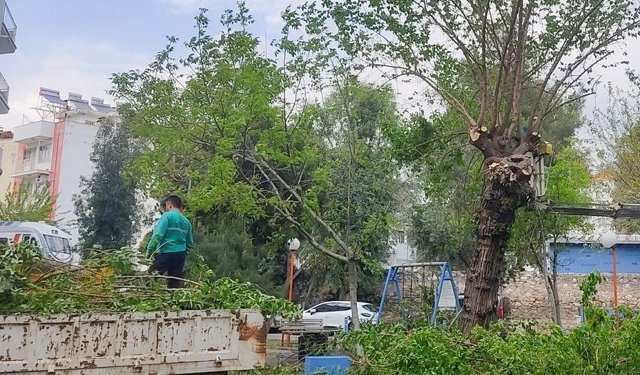 Efeler Belediyesi çalışıyor: Kent daha temiz ve düzenli hale geliyor