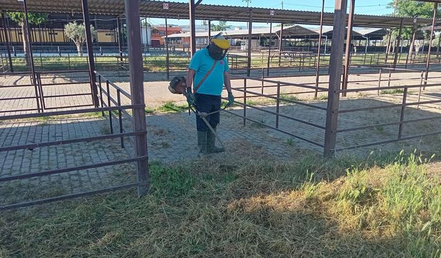 Efeler Belediyesi’nden Çeştepe Hayvan Pazarı’nda bayram mesaisi