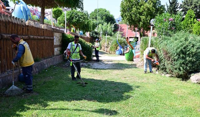 Büyükşehir Belediyesi’nden Söke’de çevre düzenleme ve peyzaj çalışması