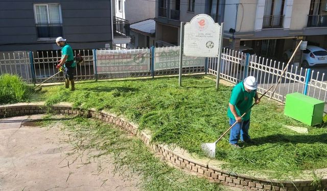 Efeler’in parklarında düzenli bakım sürüyor