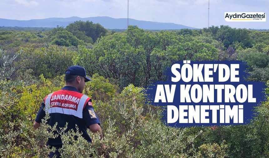 Söke'de av kontrol denetimi