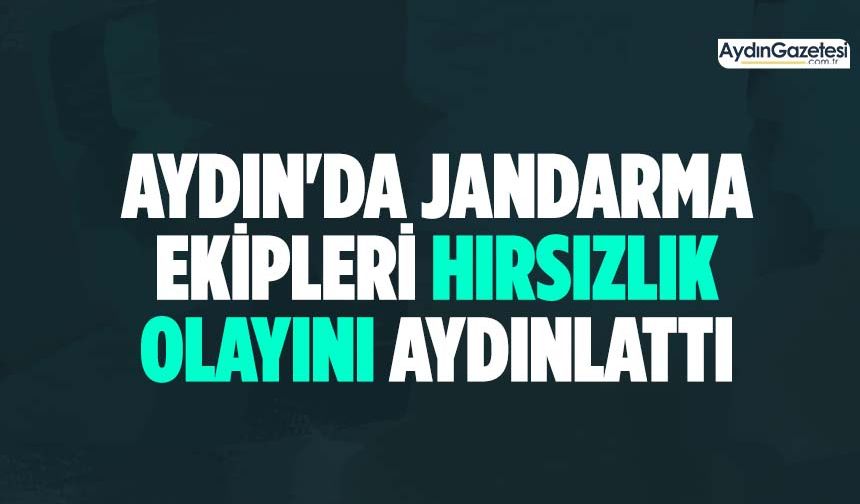 Aydın'da jandarma ekipleri hırsızlık olayını aydınlattı