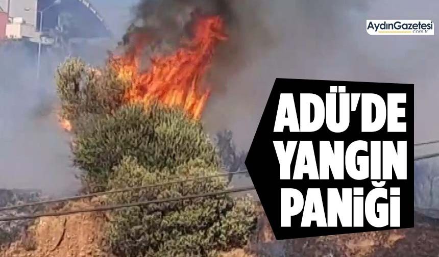 ADÜ'de yangın paniği