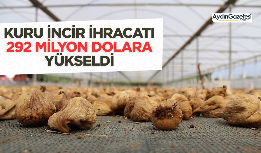 Kuru incir ihracatı 292 milyon dolara yükseldi