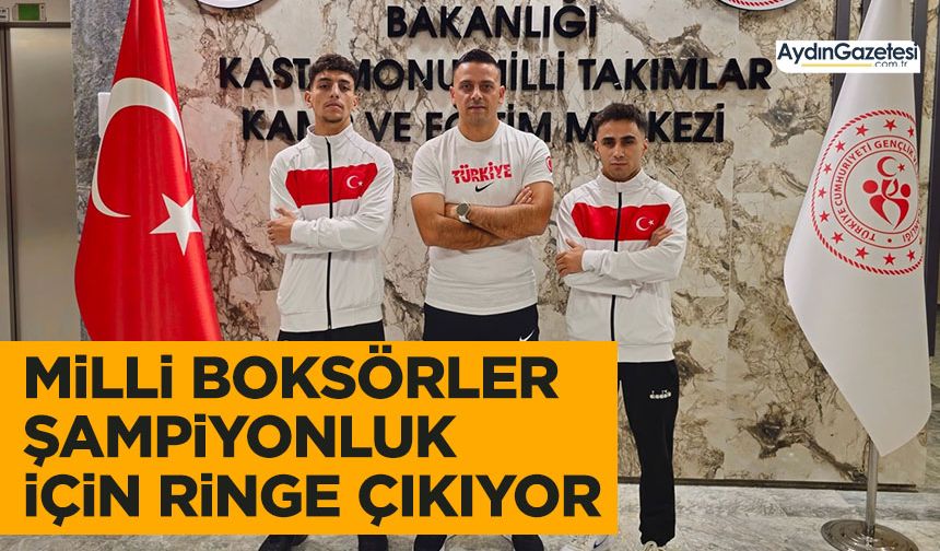 Milli boksörler şampiyonluk için ringe çıkıyor