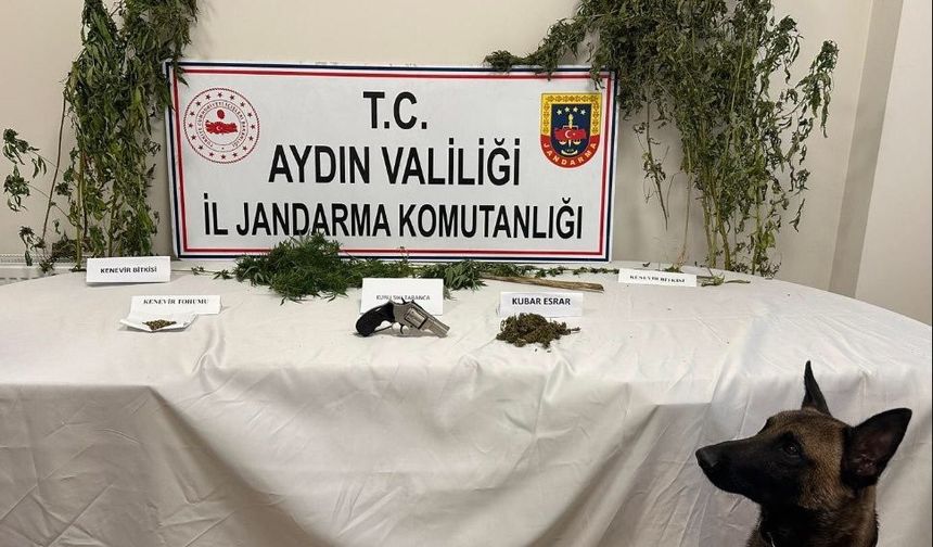 Koçarlı’da uyuşturucu baskını: 1 gözaltı