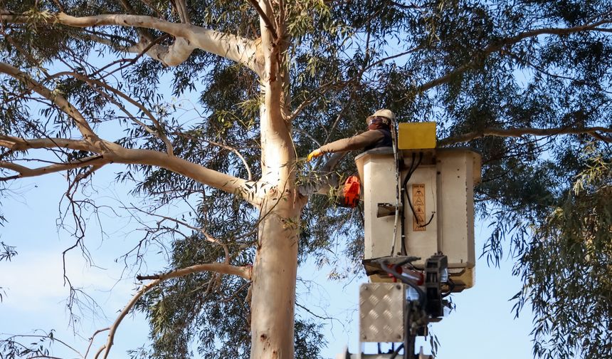 Efeler’in ekipleri Tepecik Mesire Alanı’nda
