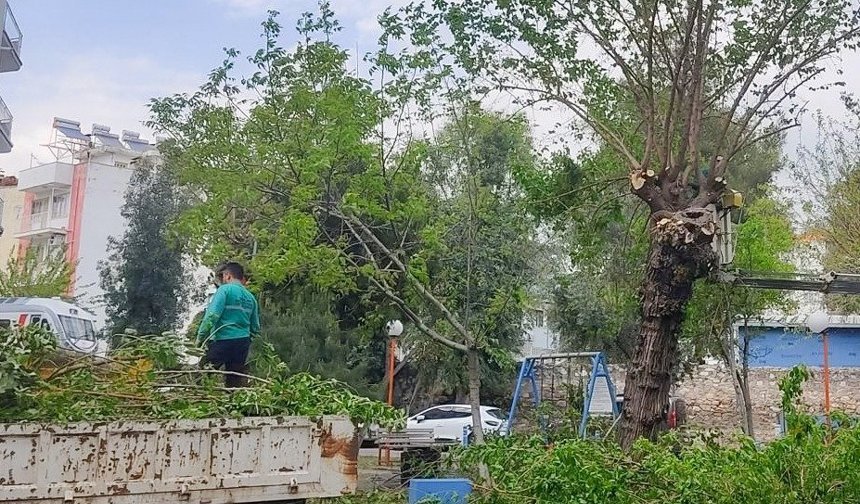 Efeler Belediyesi çalışıyor: Kent daha temiz ve düzenli hale geliyor