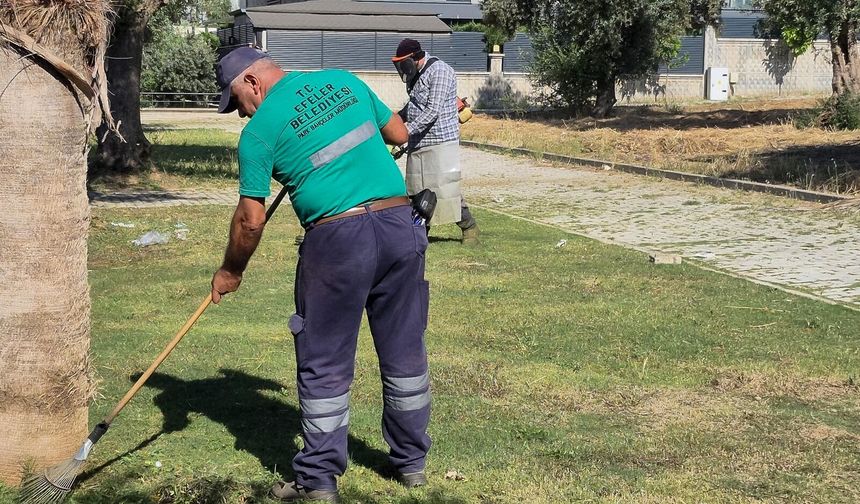 Efeler’in yeşil alanlarında yaz temizliği